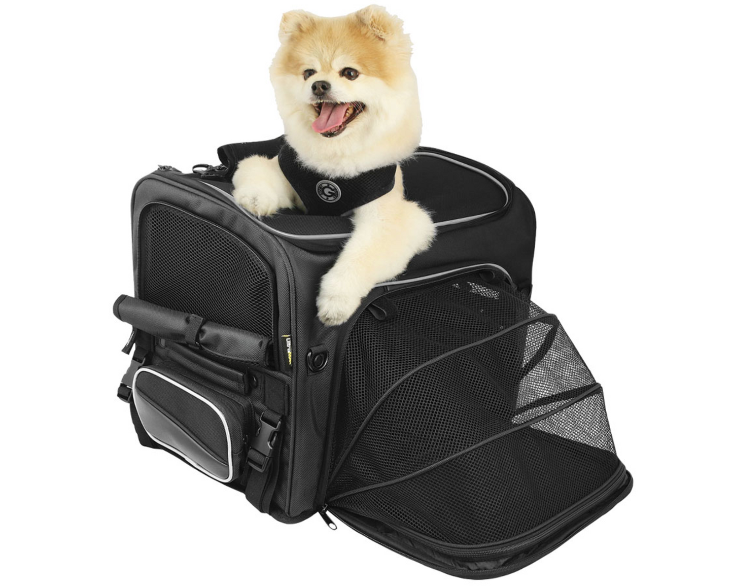 Rigg Gear Rover Pet Carrier